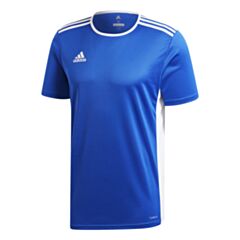 Entrada Jersey - Bold Blue/White