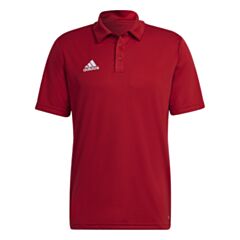Entrada Polo - Red